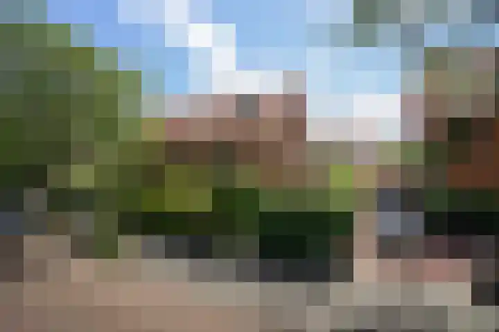 Kraaienlaan 84 Den Haag thumbnail 79