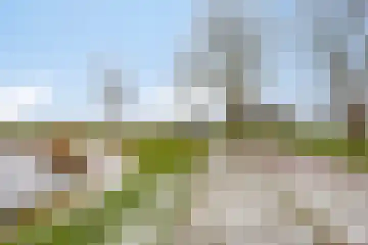 Kraaiennest 12 Oosthuizen thumbnail 35