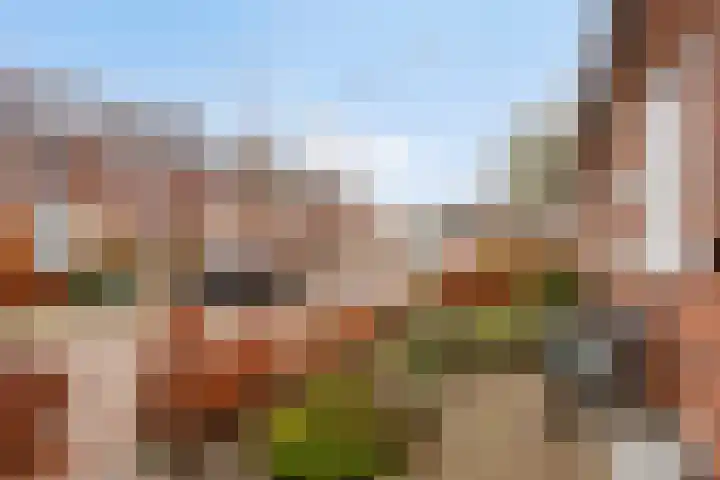 Kraaiennest 12 Oosthuizen thumbnail 7