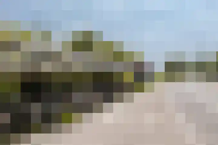 Kraaiennest 4 Oosthuizen thumbnail 30