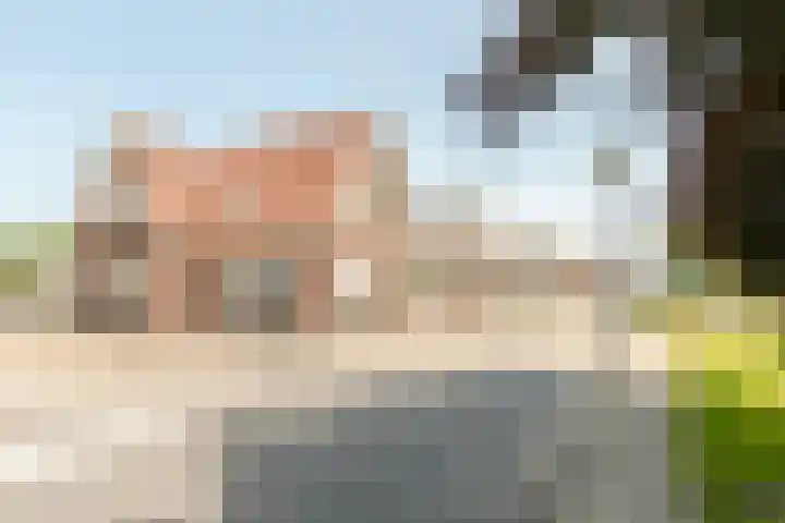 Kraaiennest 4 Oosthuizen thumbnail 31