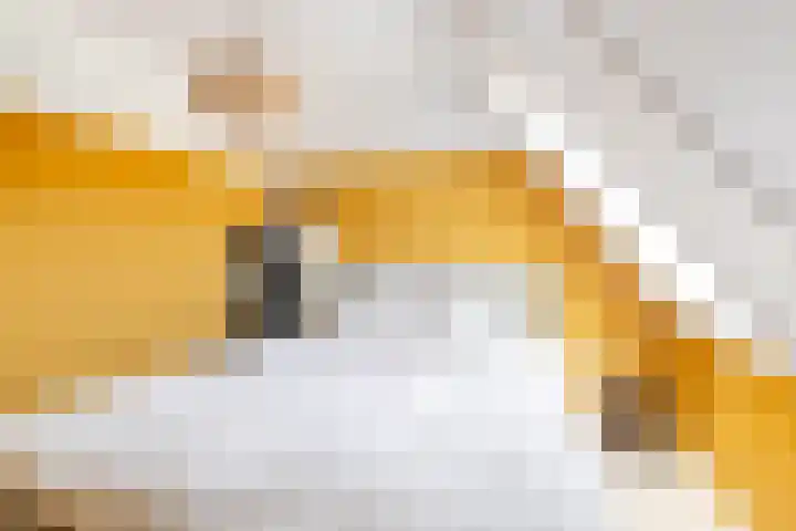 Kraaiennest 4 Oosthuizen thumbnail 4