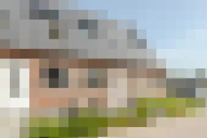 Kraaiennest 4 Oosthuizen thumbnail 6