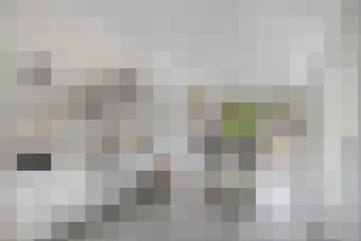Kraaiennest 7 Meppel thumbnail 10
