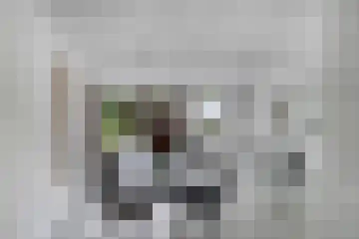 Kraaiennest 7 Meppel thumbnail 12
