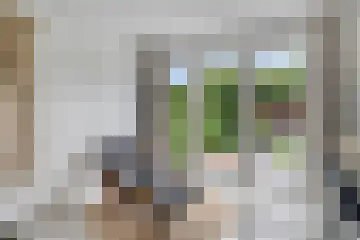 Kraaiennest 7 Meppel thumbnail 13