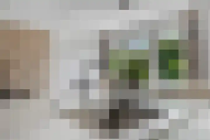 Kraaiennest 7 Meppel thumbnail 16