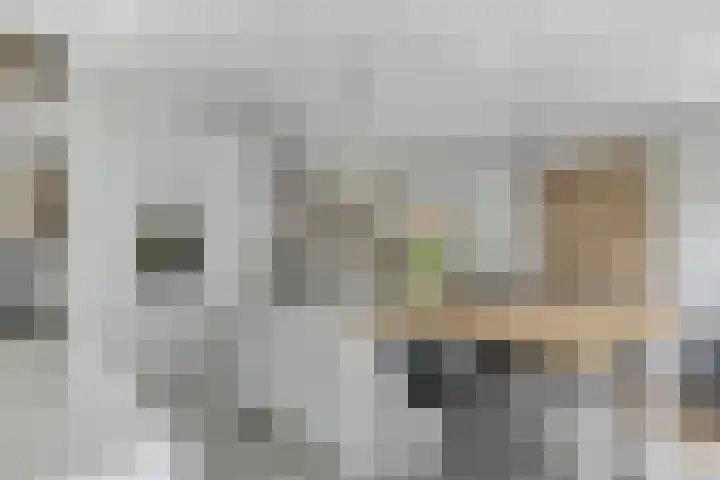 Kraaiennest 7 Meppel thumbnail 17