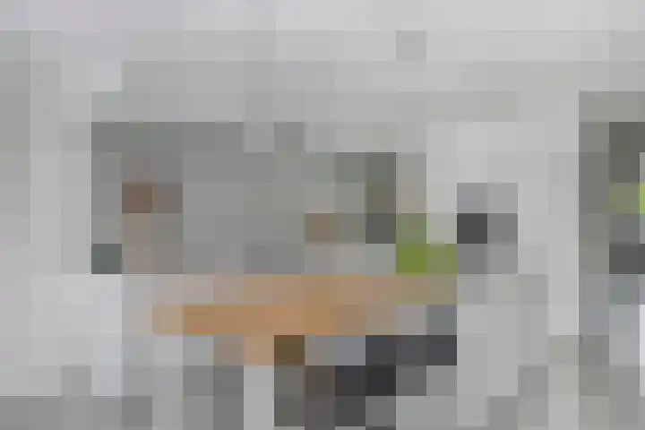Kraaiennest 7 Meppel thumbnail 18