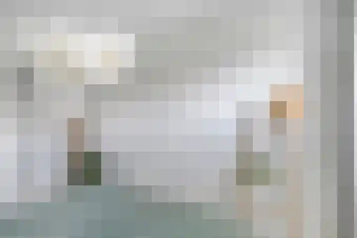 Kraaiennest 7 Meppel thumbnail 23