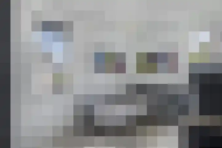 Kraaiennest 7 Meppel thumbnail 28