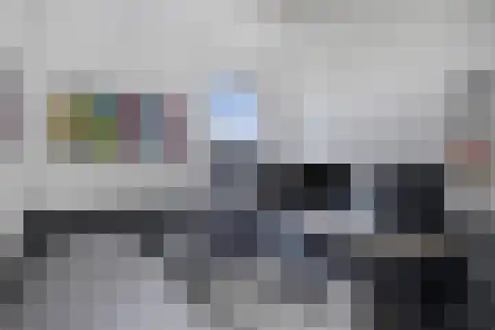 Kraaiennest 7 Meppel thumbnail 29