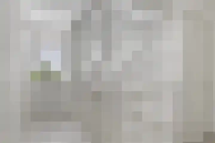 Kraaiennest 7 Meppel thumbnail 33