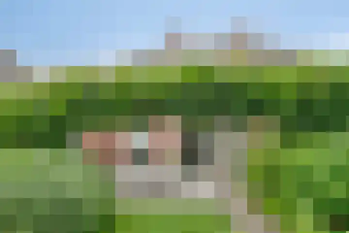 Kraaiennest 7 Meppel thumbnail 40