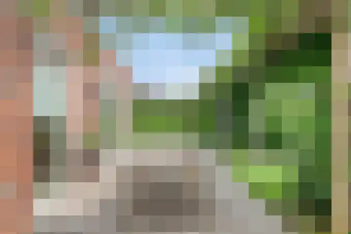 Kraaiennest 7 Meppel thumbnail 41