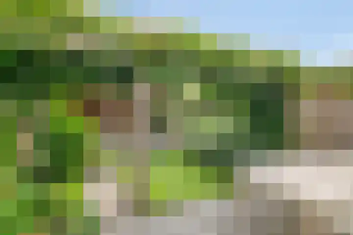 Kraaiennest 7 Meppel thumbnail 42