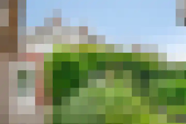 Kraaiennest 7 Meppel thumbnail 47
