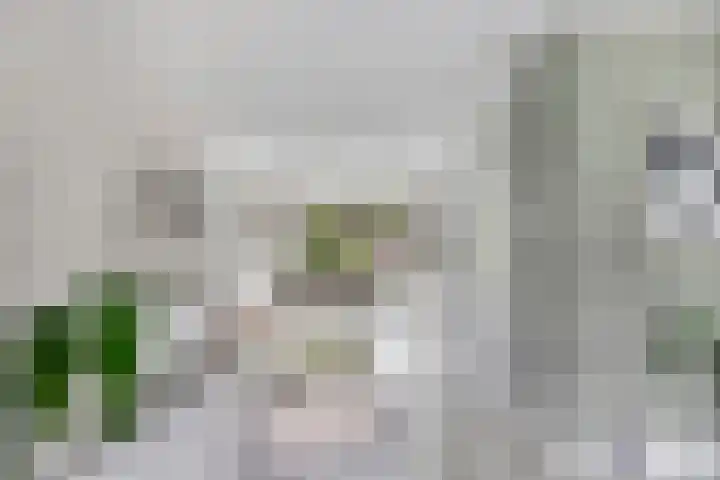Kraaiennest 7 Meppel thumbnail 9