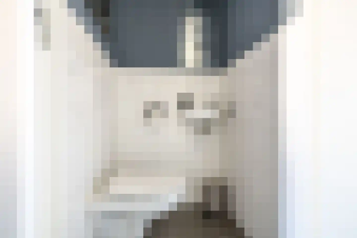 Kraaiennest 7 Oosthuizen thumbnail 10