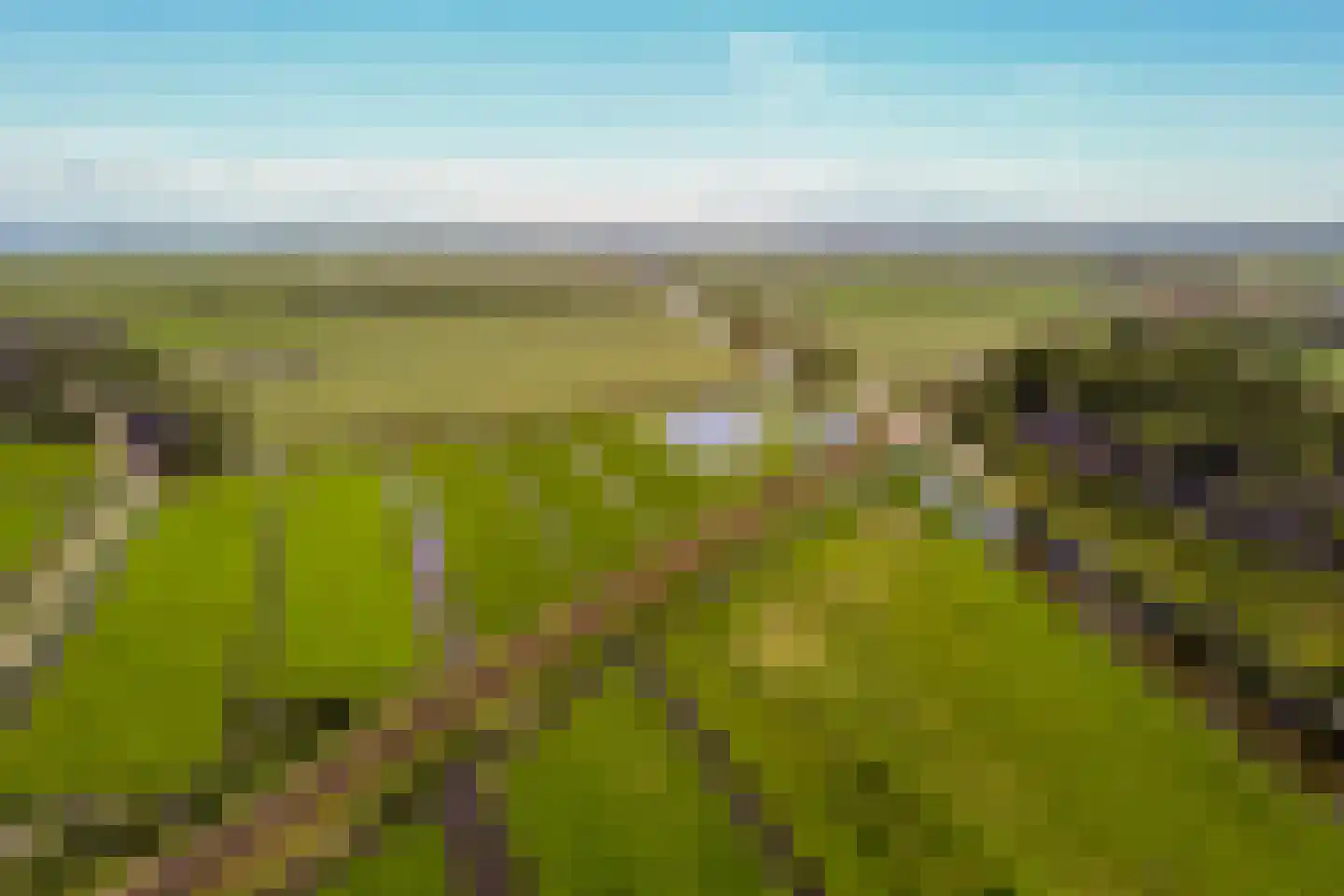Kraaiennest 7 Oosthuizen thumbnail 50