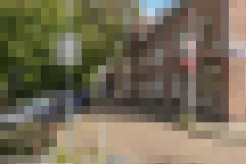 Kraaienplein 54 Amsterdam thumbnail 19