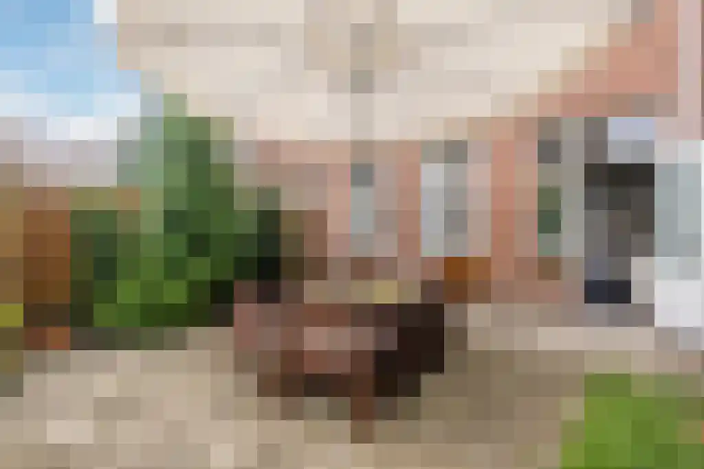 Kraaienplein 54 Amsterdam thumbnail 8