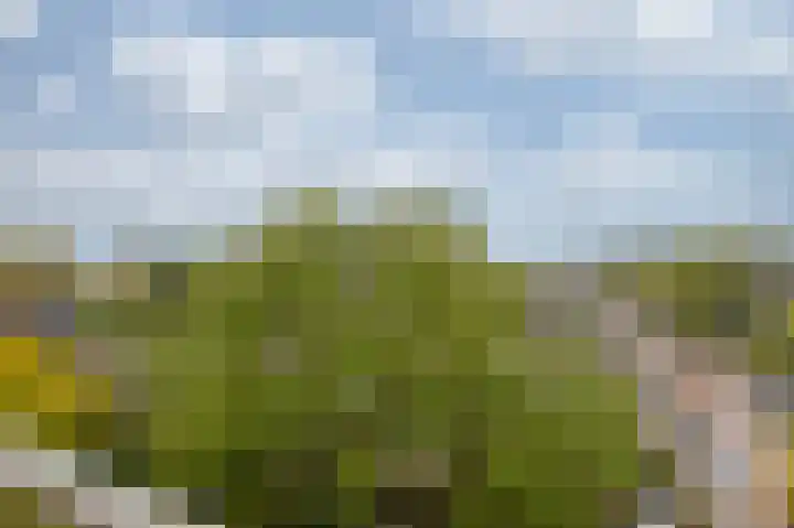 Kraaiensteinlaan 105 Arnhem thumbnail 14