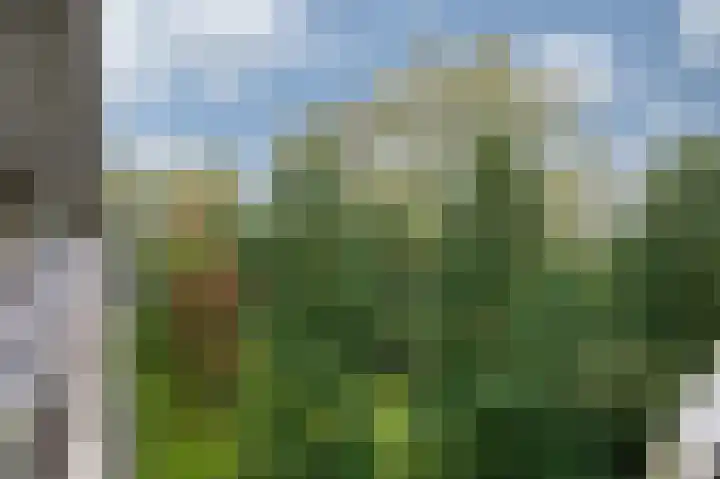 Kraaiensteinlaan 105 Arnhem thumbnail 17