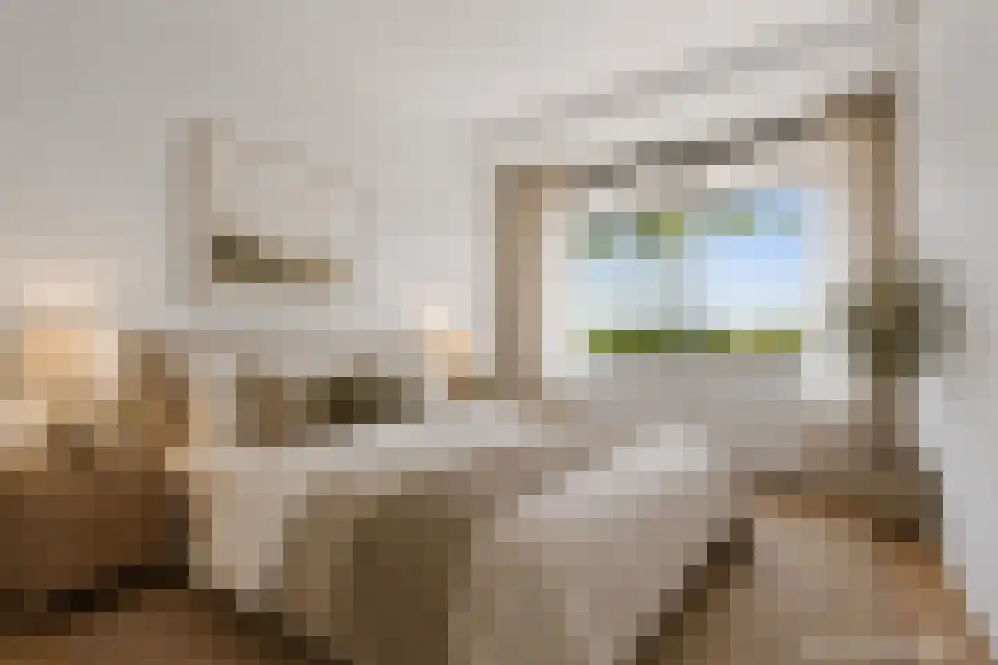 Kraaiensteinlaan 121 Arnhem thumbnail 9