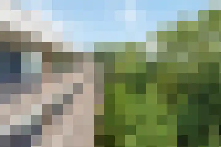 Kraaiensteinlaan 153 Arnhem thumbnail 24