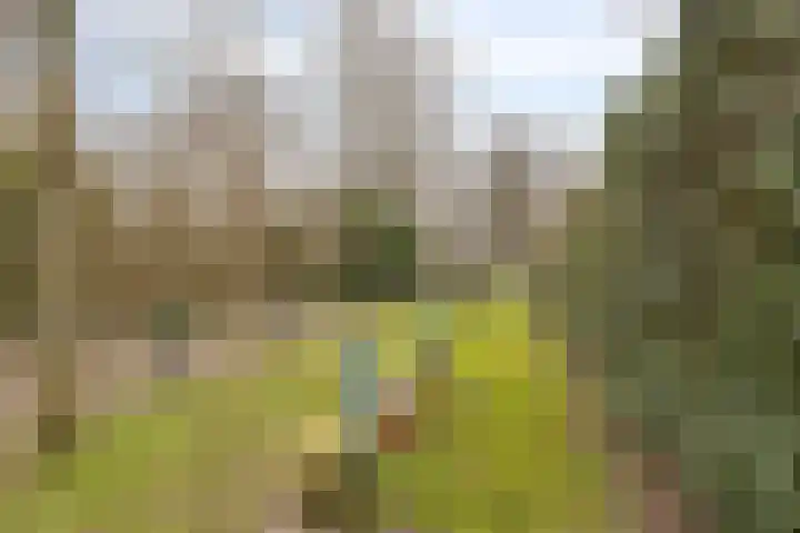 Kraaiensteinlaan 161 Arnhem thumbnail 36