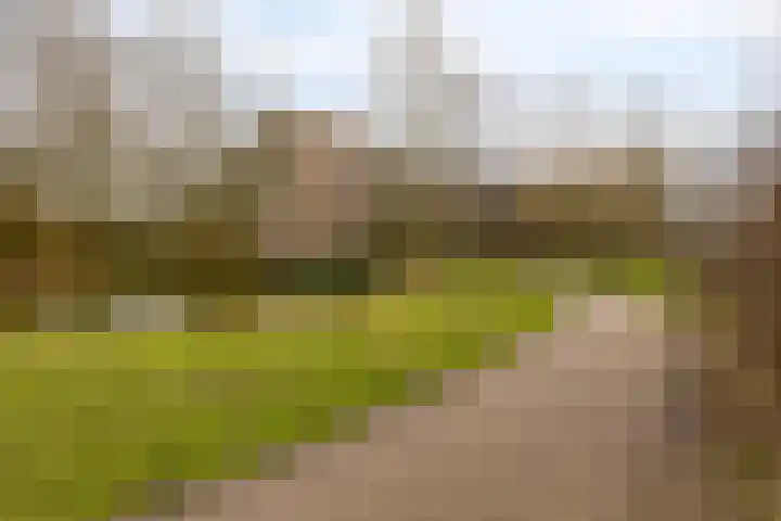 Kraaiensteinlaan 161 Arnhem thumbnail 38