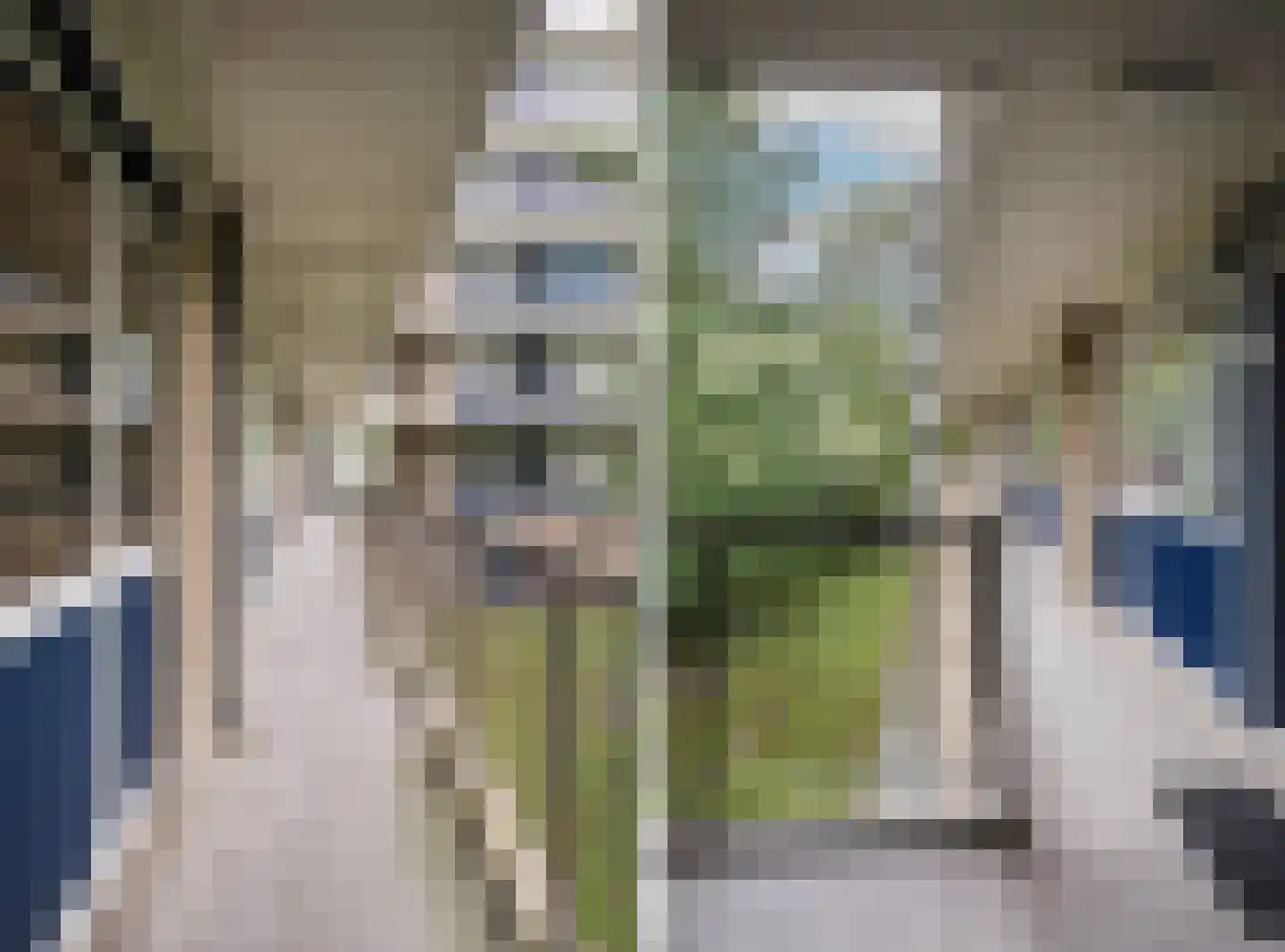 Kraaiensteinlaan 25 Arnhem thumbnail 38
