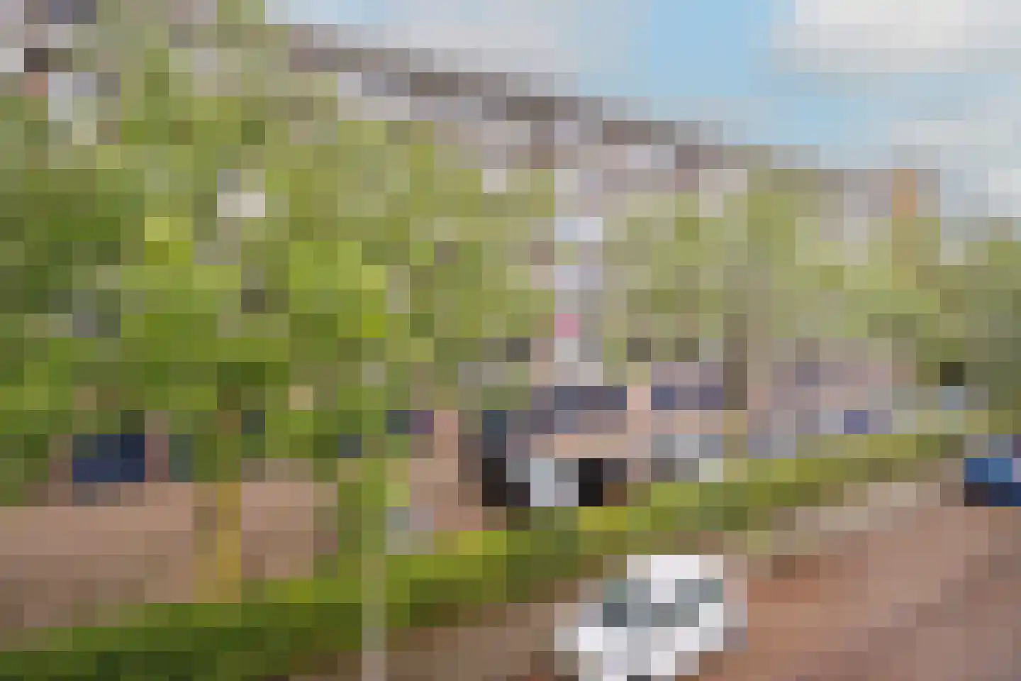 Kraaiensteinlaan 25 Arnhem thumbnail 8