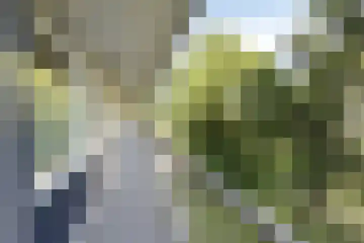 Kraaiensteinlaan 67 Arnhem thumbnail 4