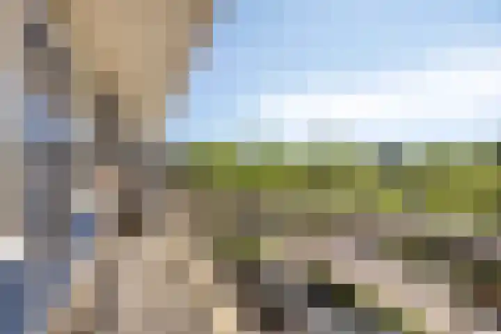 Kraaiensteinlaan 67 Arnhem thumbnail 8