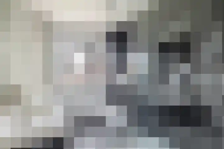 Kraaienveld 101 Zoetermeer thumbnail 32