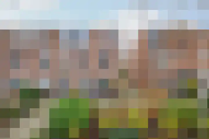 Kraaienveld 101 Zoetermeer thumbnail 4