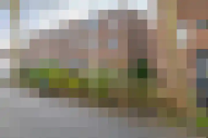 Kraaienveld 101 Zoetermeer thumbnail 5