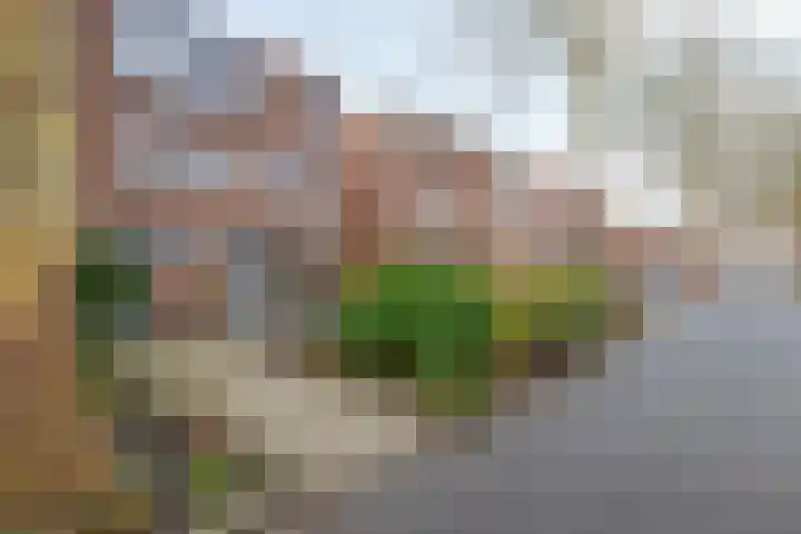 Kraaienveld 101 Zoetermeer thumbnail 6