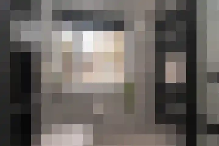 Kraaienveld 111 Zoetermeer thumbnail 25