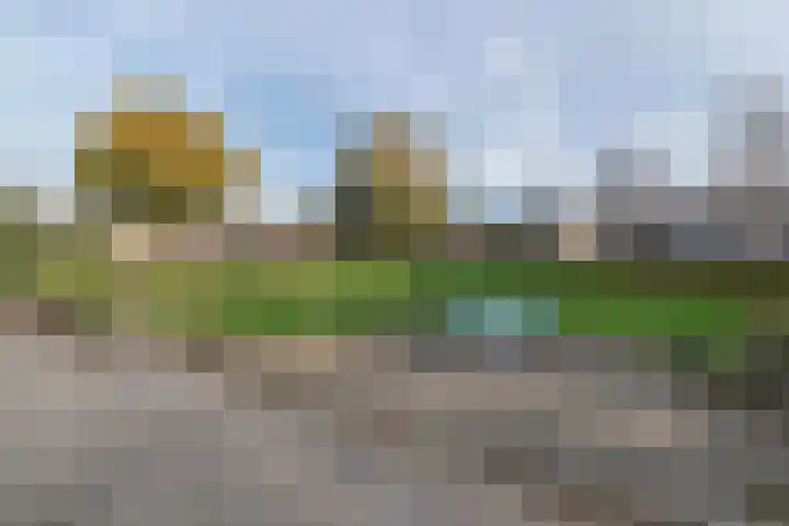Kraaienveld 111 Zoetermeer thumbnail 29