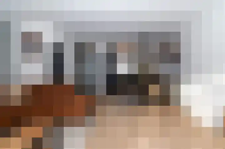 Kraaienveld 111 Zoetermeer thumbnail 4