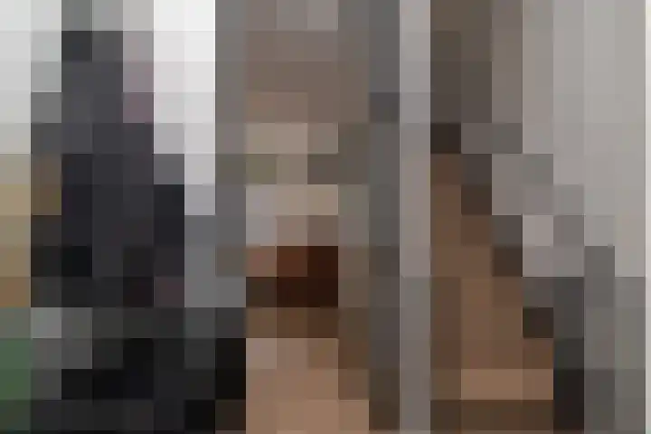 Kraaienveld 111 Zoetermeer thumbnail 8