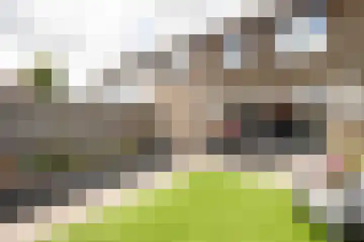 Kraaienveld 61 Emmen thumbnail 25