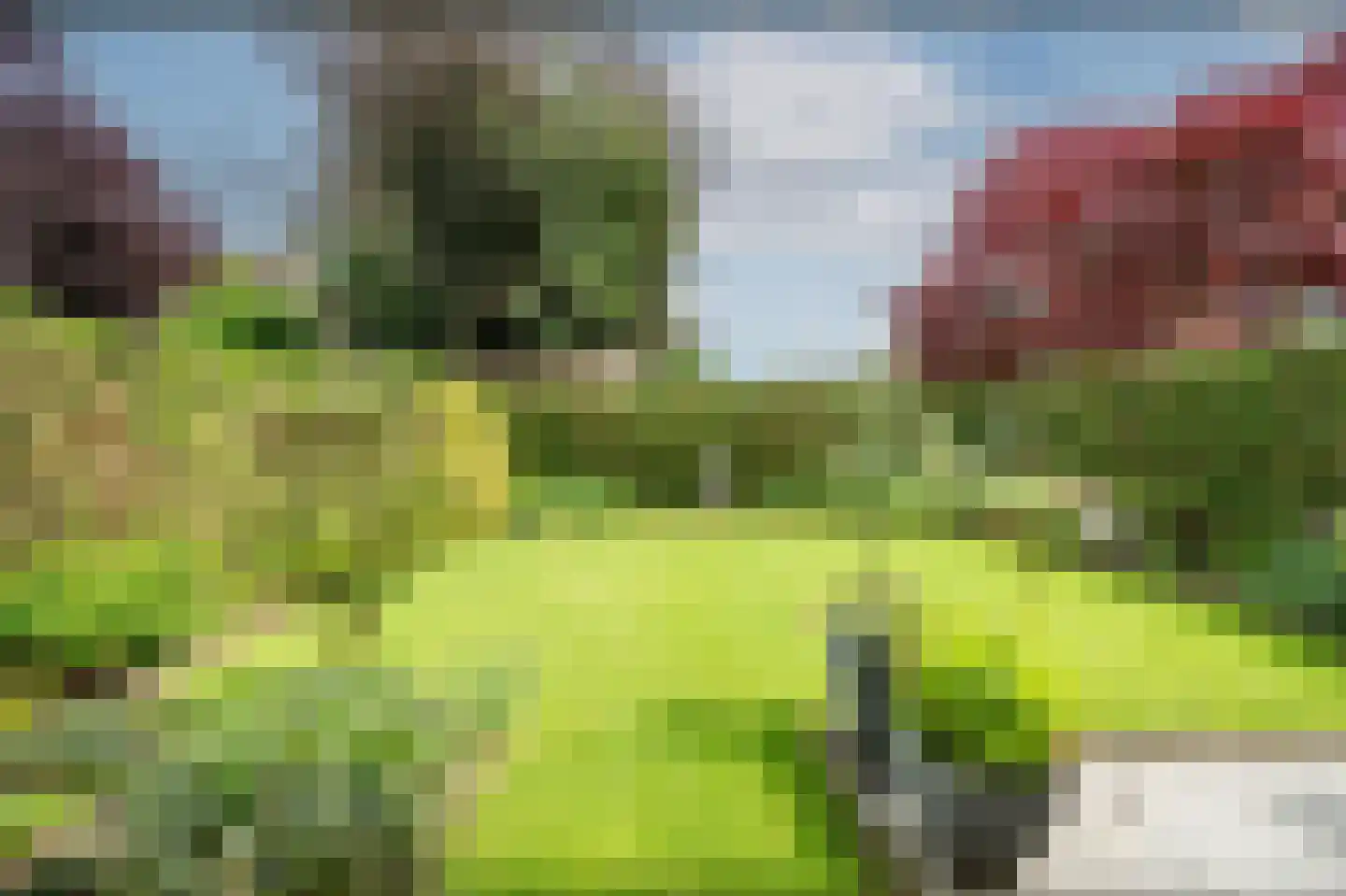 Kraaienveld 63 Emmen thumbnail 30
