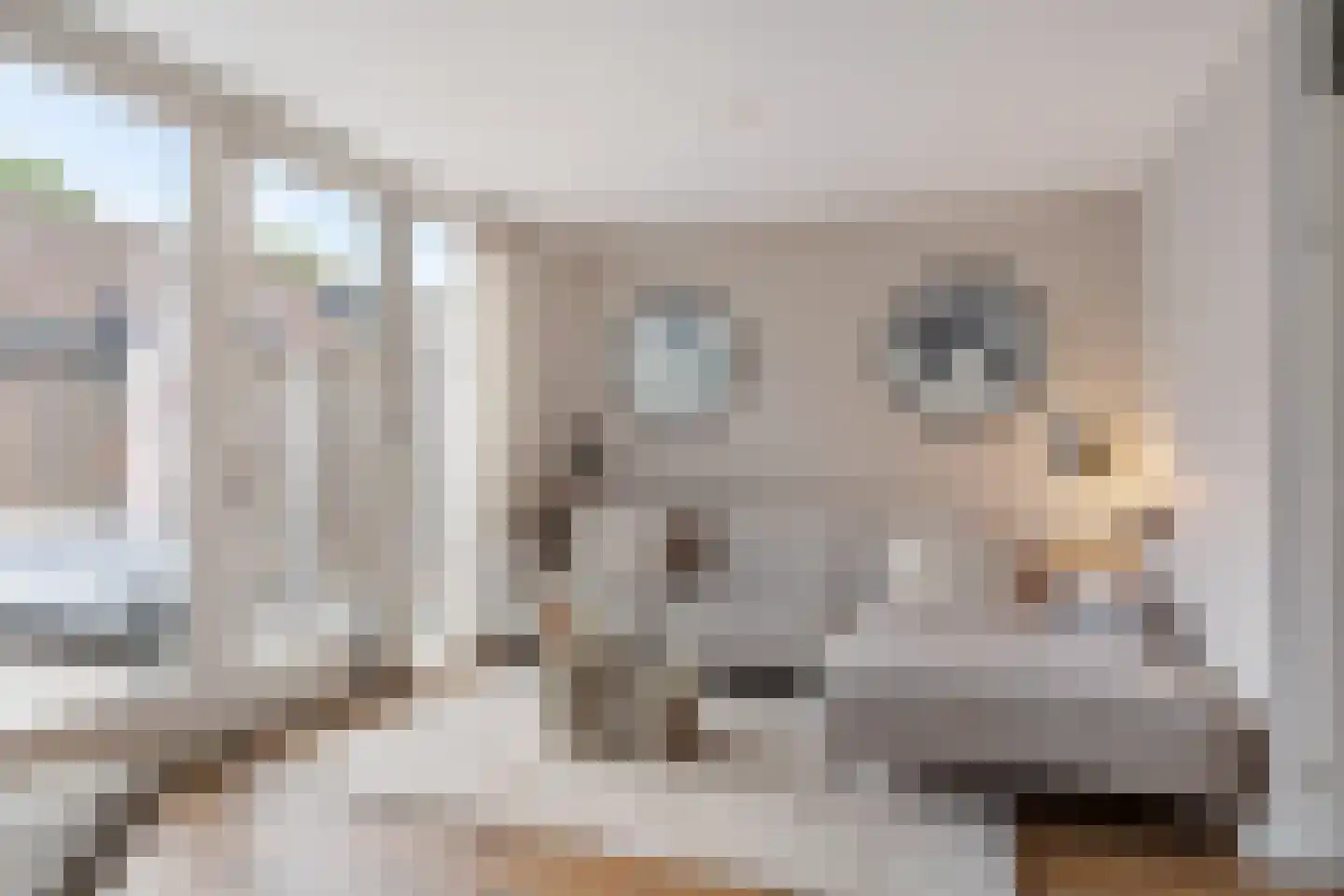 Kraaienveld 83 Zoetermeer thumbnail 17