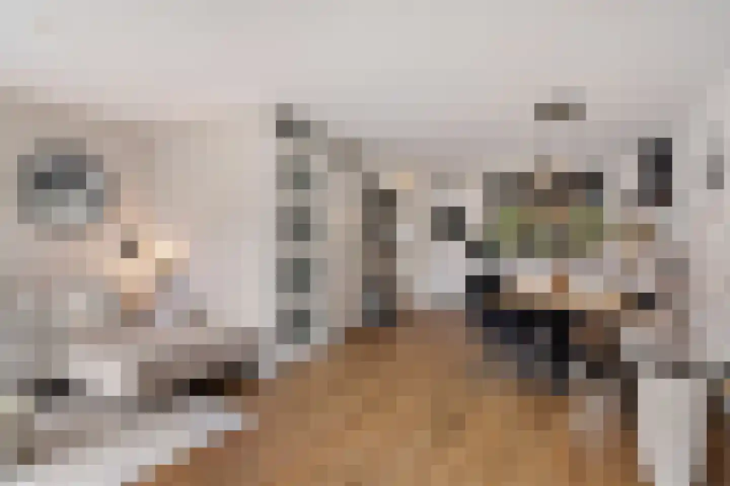 Kraaienveld 83 Zoetermeer thumbnail 19