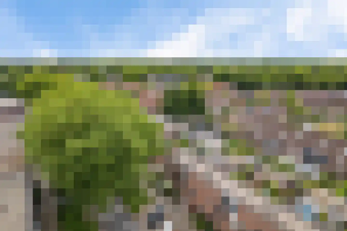 Kraaienveld 83 Zoetermeer thumbnail 7