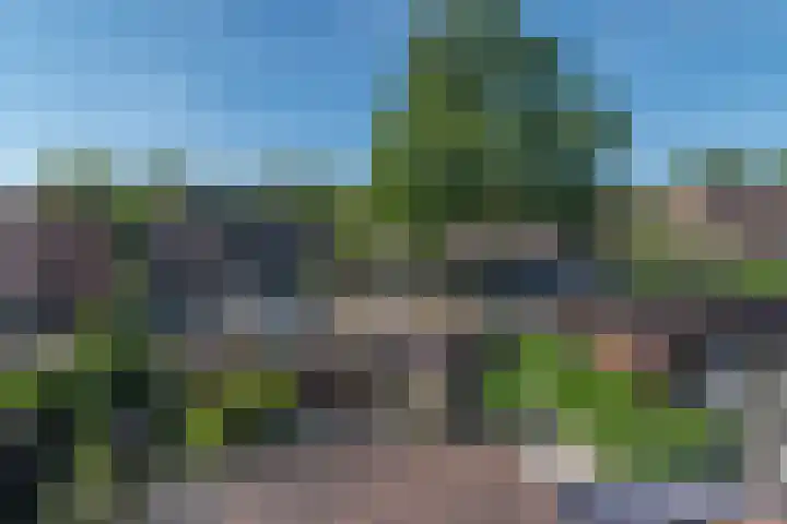 Kraaienveld 95 Zoetermeer thumbnail 36
